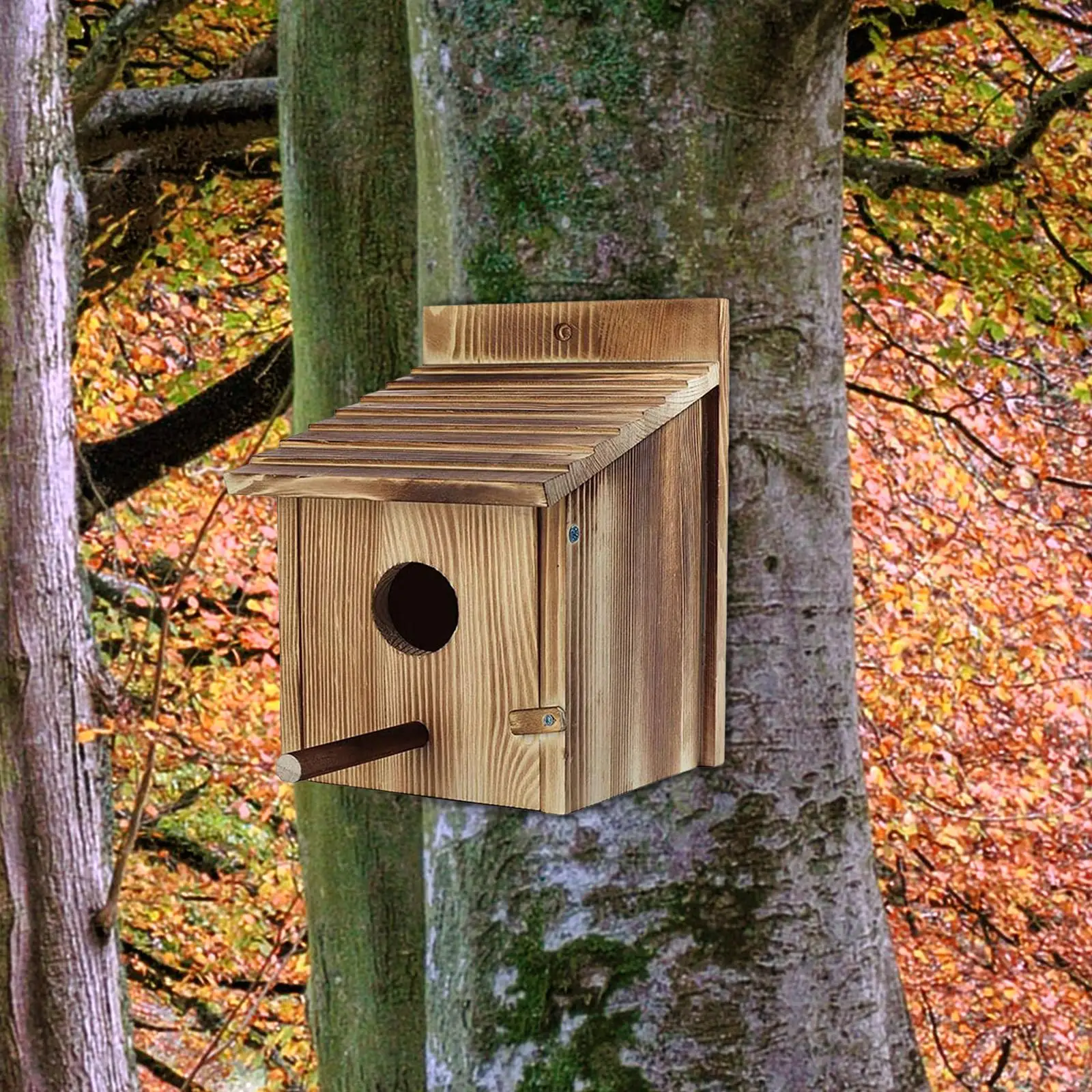 Bird House Bluebird House Wooden Bird Box for Kids Adults Window Small Birds Bird House Bluebird House Wooden Bird Box for Kids Adults Window Small Birds