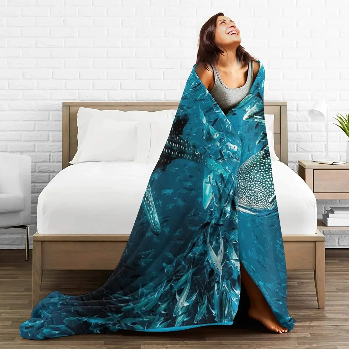 �ö��� ���ο� ���, ���� ��� �� ���� ���� ���, �ε巯�� ħ�� ������ ���� ���, ħ�� ��ũ�� ���� Ȩ ����