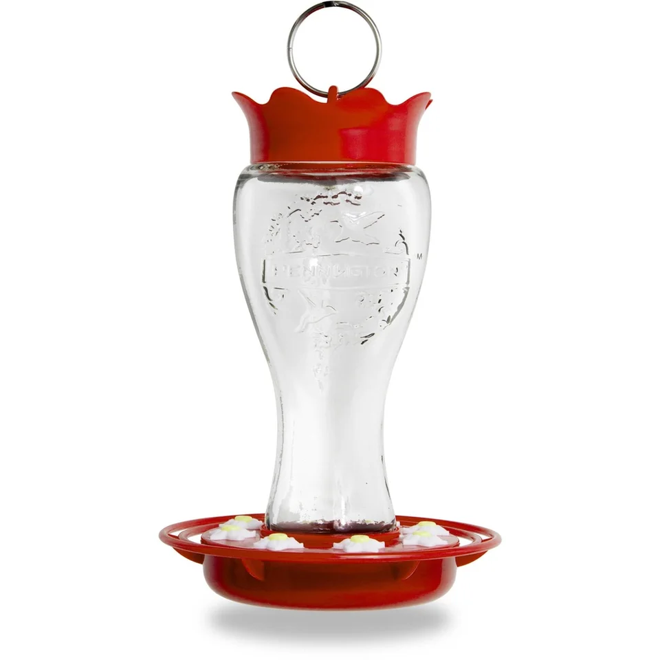 Durable Bee Resistant Glass Hummingbird Feeder 16oz