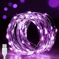 Purple Light