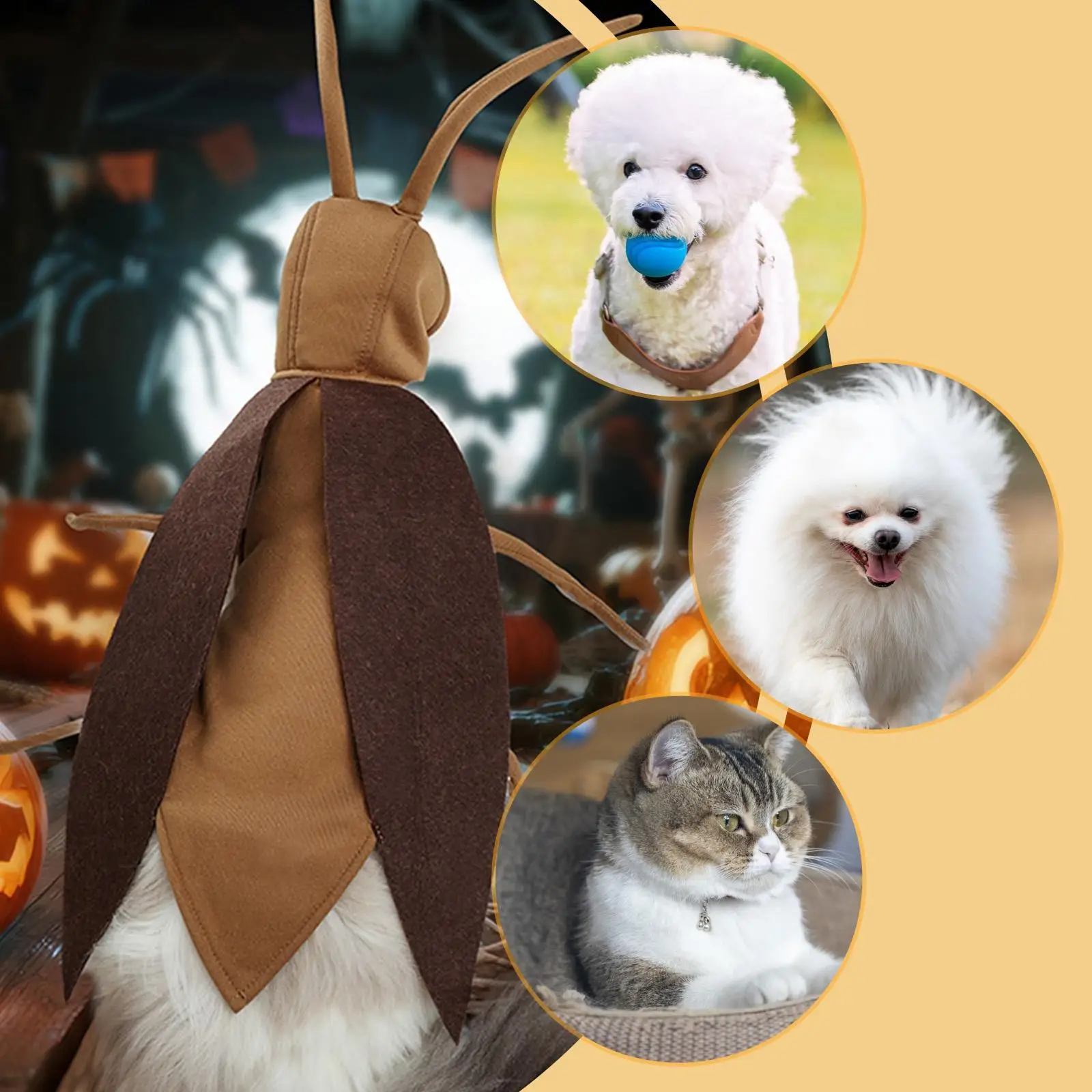 Creepy Cute Pet Costume 4