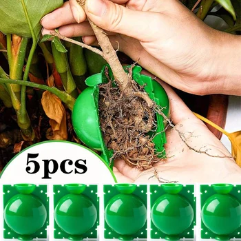 5PCS Reusable Plant Rooting Balls – 5CM Growth Box 1