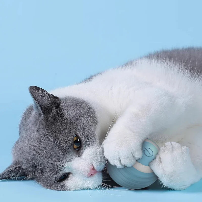 Things for Cats Toys Garden Sandbox for Cat Stuff Toy Accessories Smarts Automatic Rolling Pet Electric Cats Ball Home Catnip