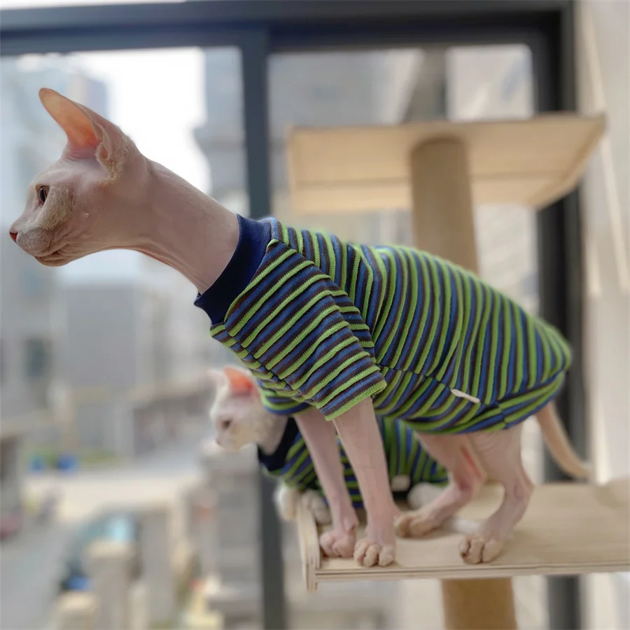 스핑크스 고양이 여름 패션을 위한 스트라이프 코튼 코트 봄에 데본 렉스를 위한 털이 없는 고양이 부드러운 라운지웨어를 위한 녹색 폴로 셔츠
