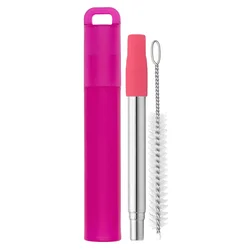 Eco - Friendly Collapsible Stainless Steel Straw Set with Case, Silicone Tip, and Cleaning Brush (Purple)