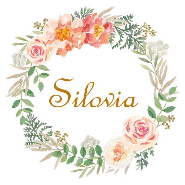 Silovia Backdrop Store