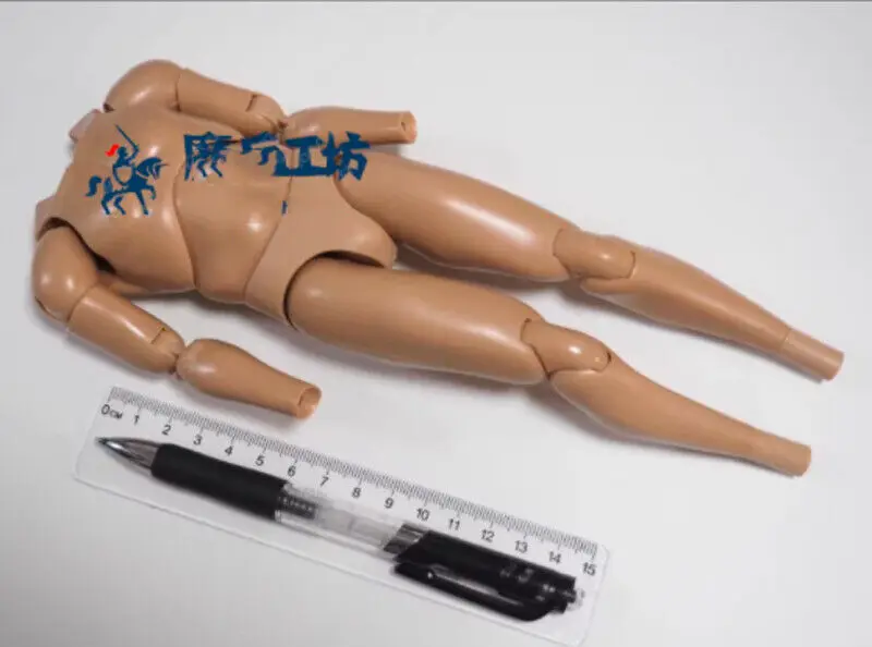 

_ 1/6 1/6 body 1:6 body male