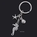 S5004 hippocampus