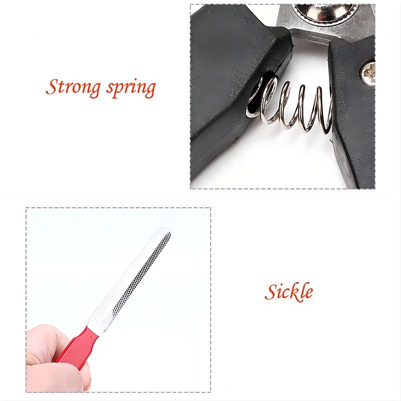 Stainless Steel Pet Nail Clippers 3