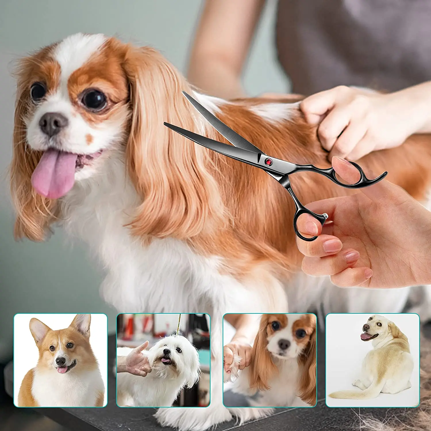 Dog Grooming Scissors Portable Curved Pet Hair Scissors