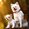 Personalized Dog Cat Collar Adjustable Cat Crystal Collars Anti-lost Leather Puppy Cats Necklace Bowtie Rhinestone Accessories 6