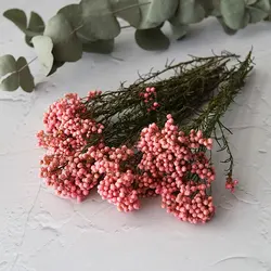Elegant Preserved Rice Flower for Home and Office Decor - Ideal for DIY Crafts and Handmade Candle Projects (Pink)