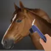 Care Horse Hoof Tools Cleaning Pick with Brush Bits Western Soft Rasp for Horses 3