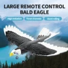 FX9651 RC Airplane 3CH Eagle Remote Control Plane 578mm Wingspan 360° Rotate EPP Foam Aircraft Toys for Children Boys Gifts 1