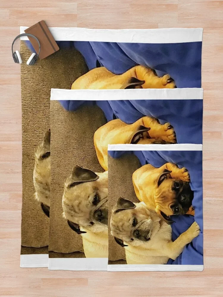 ǫ���� �۱� ������ ��� �� ��, ���Ÿ� �귣��