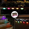 Multicolor