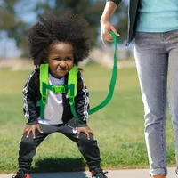 Toddler Backpack Leash, 9.5" Safety Harness Dinosaur Bag - Removable Tether 2