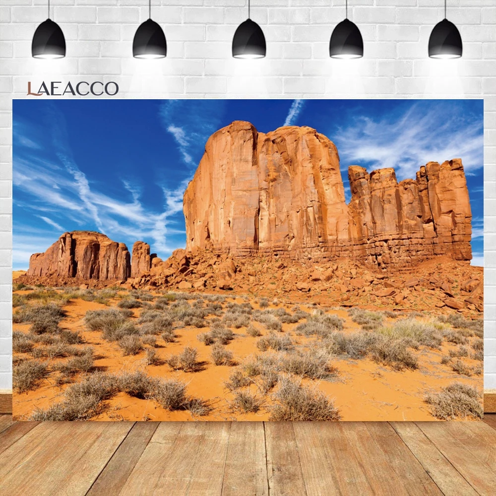 Laeacco 사암 사막 산악 배경, 푸른 하늘 흰 구름 선인장 자연 풍경, 성인 초상화 사진 배경