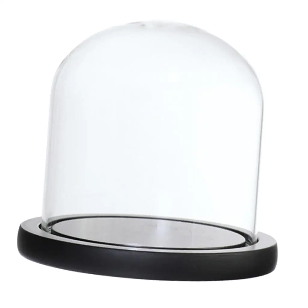 Elegant Glass Display Dome with Base for DIY Home Decor and Pinterest-Inspired Room Ideas