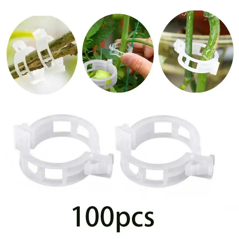 

Plastic Plant Supports Clips Tomato Clips Vine Hold Clips Reusable Protection Grafting Fixing Tool Support Clamps For Plants