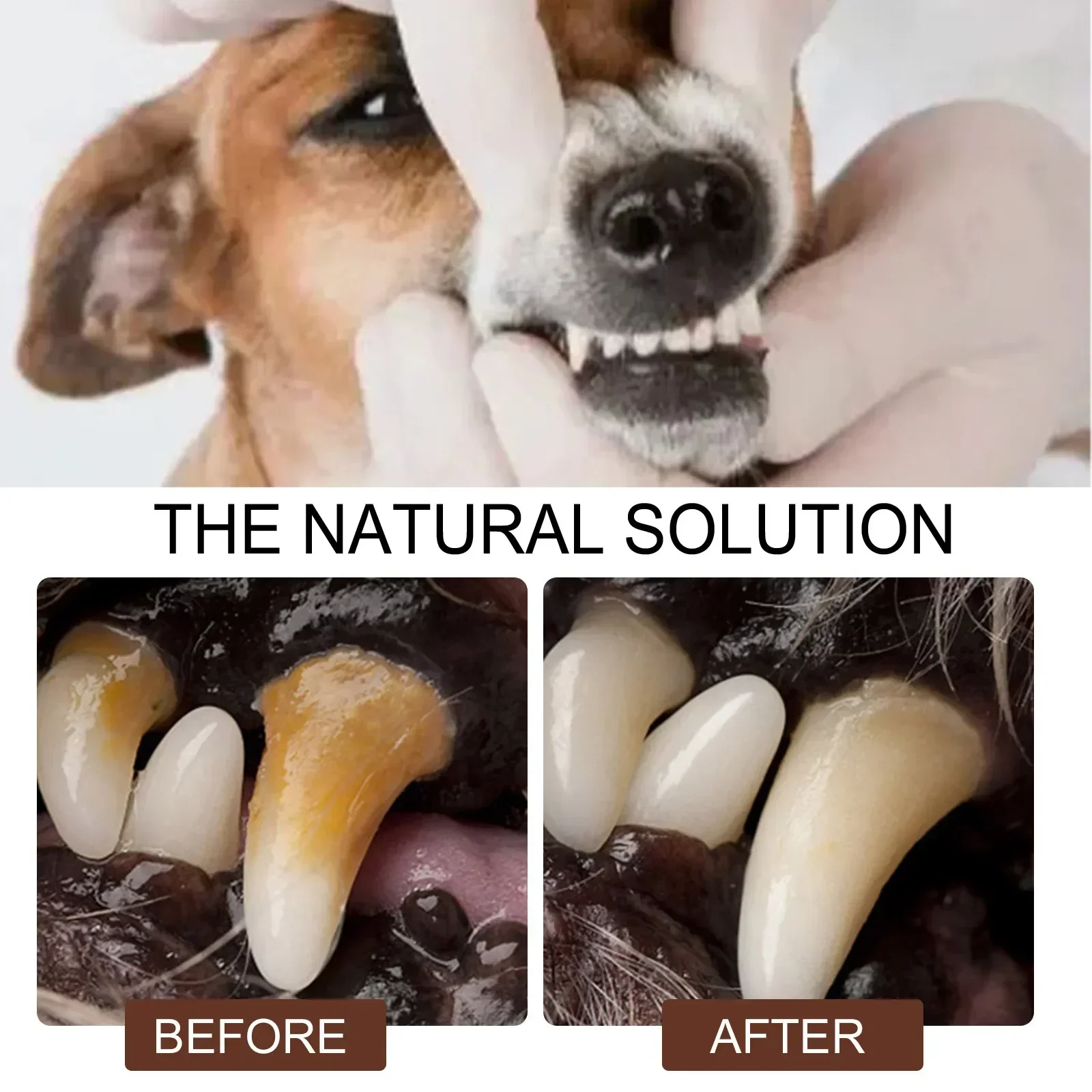 Pet Teeth Cleaning Spray 30ml Dogs Remove Bad Breath Freshener Cats Oral Cleaning Dental Care Deodorization