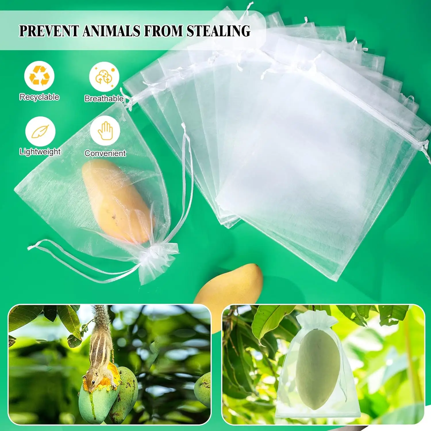 Description Picture 2 of item100PCS Fruit Protection Bag Green Mesh Netting Bag with Drawstring Protect From Insect Birds Squirrels Gardening Tool