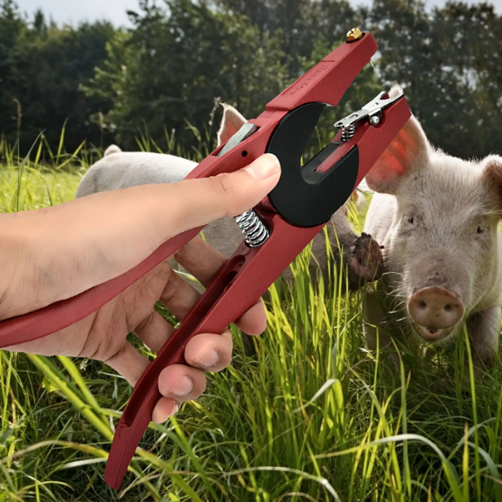 Ear Tagging Gun Livestock Ear Tag Plier Veterinary Marker Clamp Plier Forcep Applicator for Pigs Sheep Goats Cattles Cows animal ear pliers