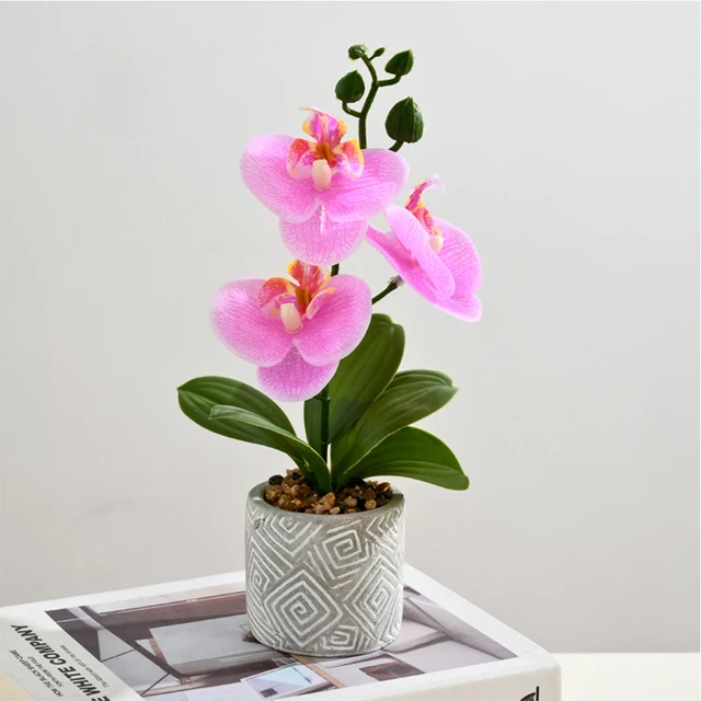 Phalaenopsis artificiale 27cm composizione di orchidee finte Oceania con  vaso, fiori artificiali in vaso Phalaenopsis Orch - AliExpress