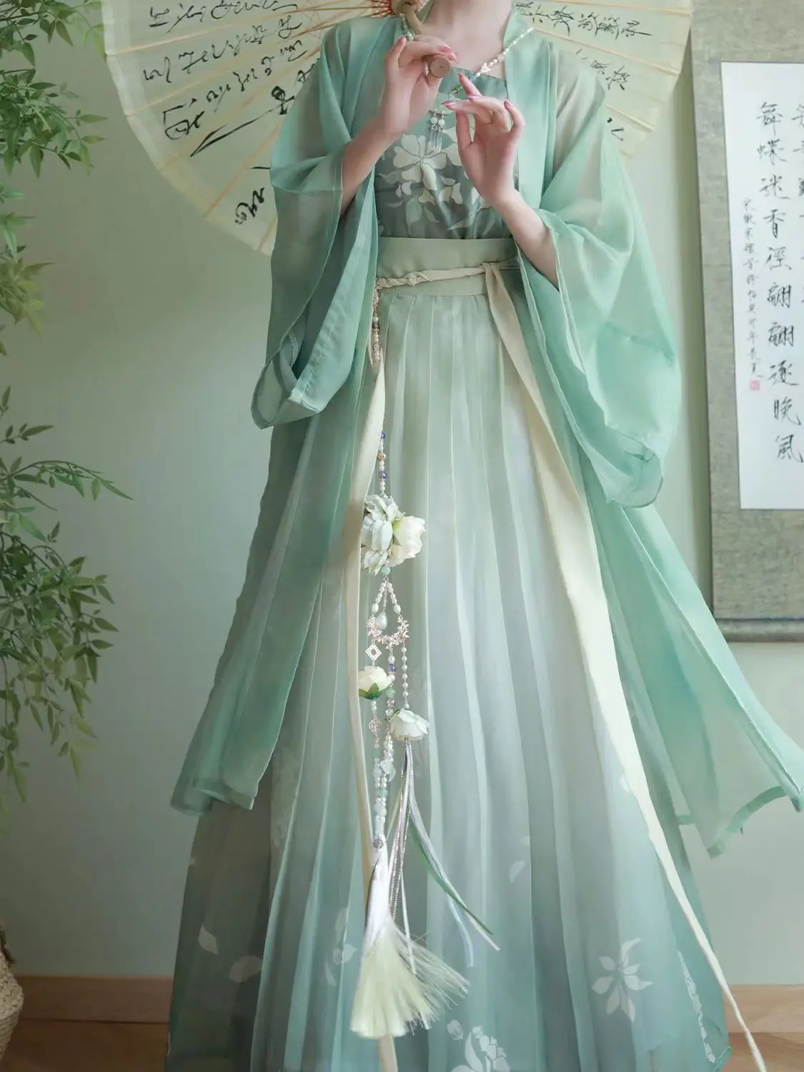 アロカシア　シヌータ斑入り,ブラックベルベット　黄斑入り　セット アロカシア ブラックベルベット 斑入り | GREEN LUCK