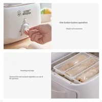 Steamed Rice Noodles Machine Household Small Multi functional Breakfast Machine Drawer type Net Red Mini Electric Steamer 2