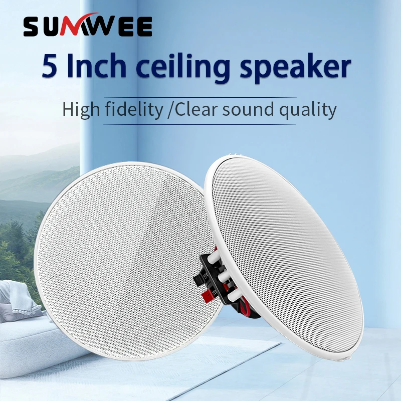Wall Ceiling Speaker 5 Inch Passive 8&Omega; for Office Kitchen Living Room Bathroom