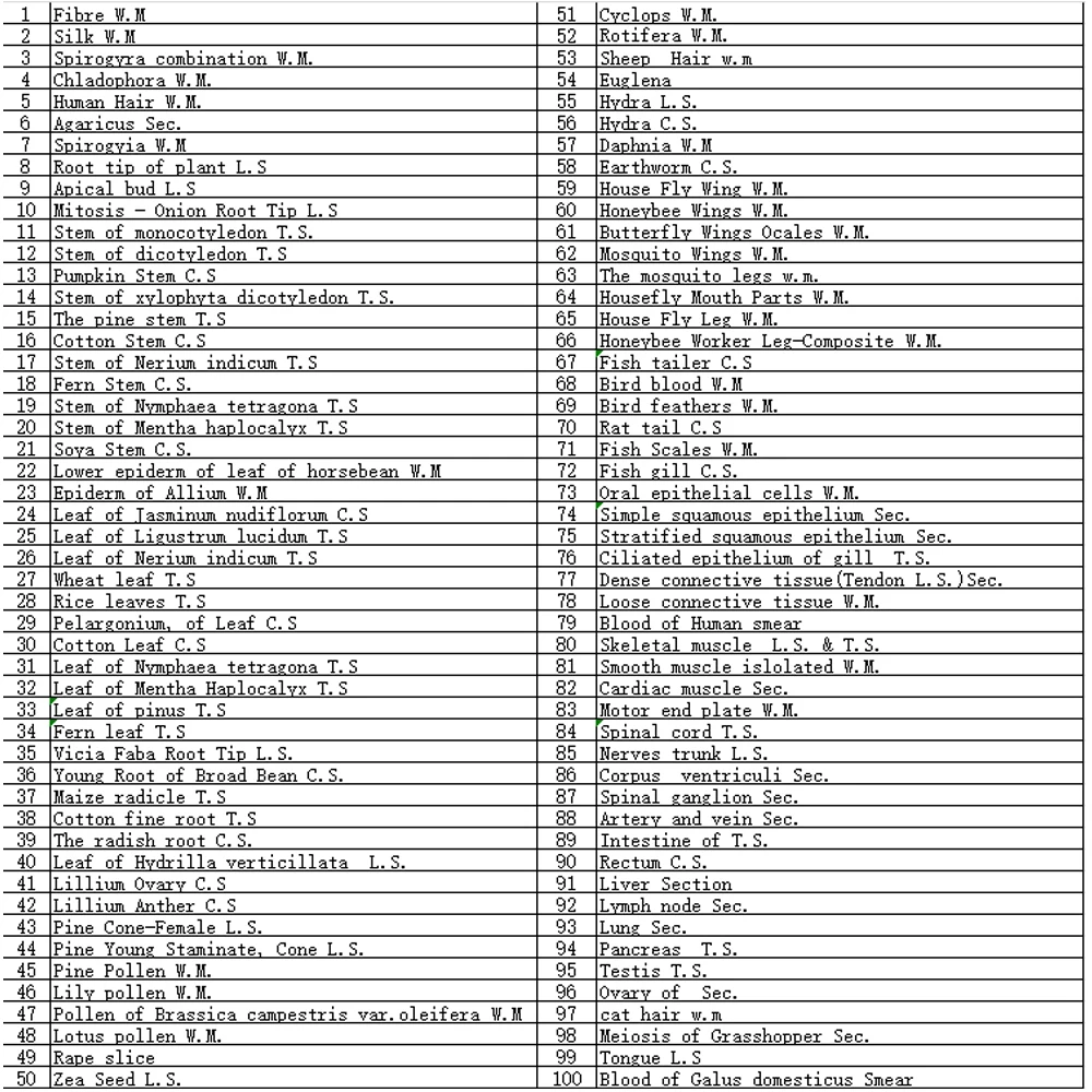 Microscope Glass Slides 100pcs Biology Prepared Microscope Glass Slides Lab Specimens Basic Biological