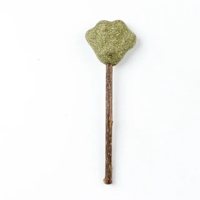 Image 10