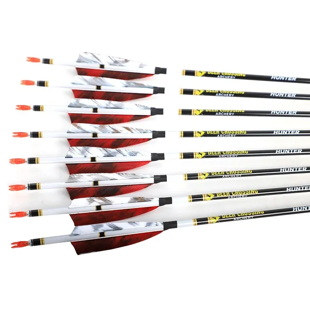 thumbnail image 2 of AMEYXGS Archery Carbon Arrows For Compound & Recurve Bows, 30 Inch Hunting Practice Arrows 12 Pack 5afdd454 Bf44 4d2c 80c9 F76769b27562.fc1bce61ef811fa3029dc4ece260966b 2 of 13