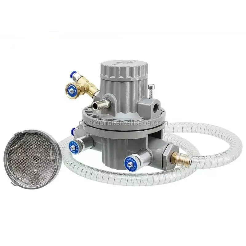 

Pneumatic Single Diaphragm Pump for Ink Ink Pump Flexo Oneway Pump Diaphragm