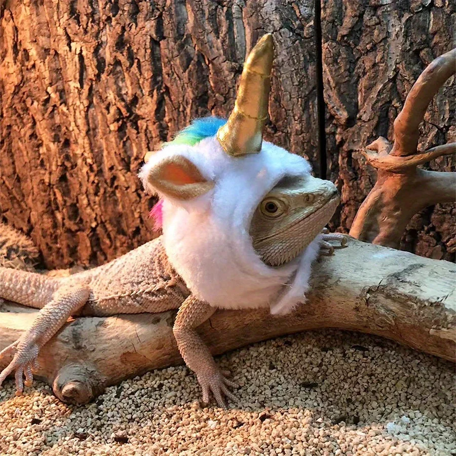 Lizard Chameleon Unicorn Transformation Outfit Funny Clothes Small Pet Headgear Hat