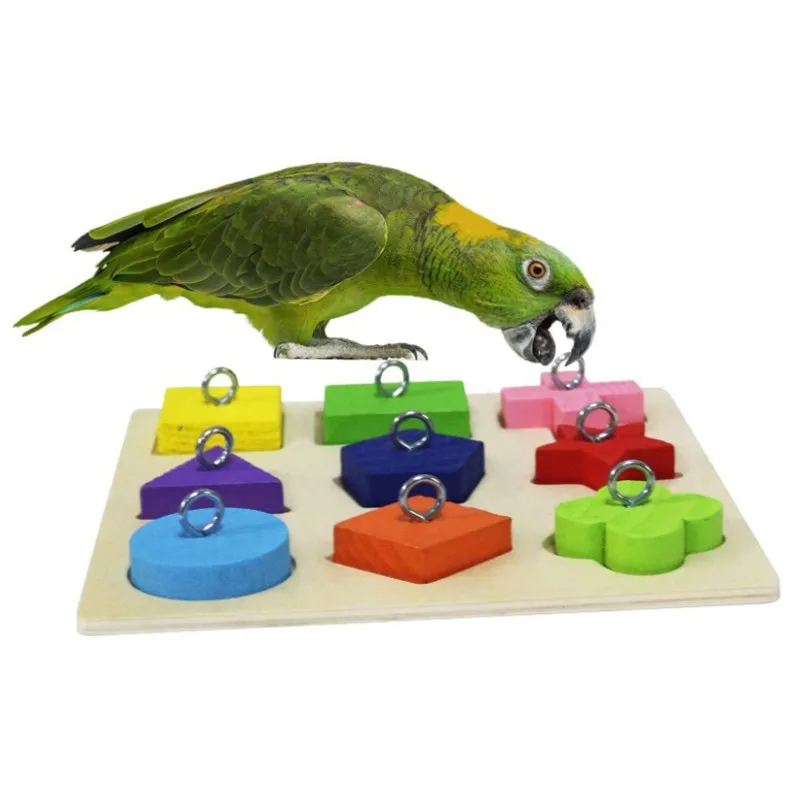Dcpet Wooden Pet Birds Puzzle Training Toys Colorful Parrot Macaw