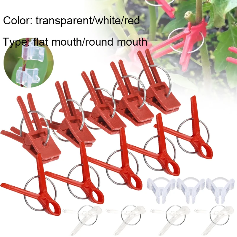 50 Plastic Grafting Clamps Garden Plant Support Clamps Round Red Clamps for Gardening Vegetables Flowers Shrubs plant clips