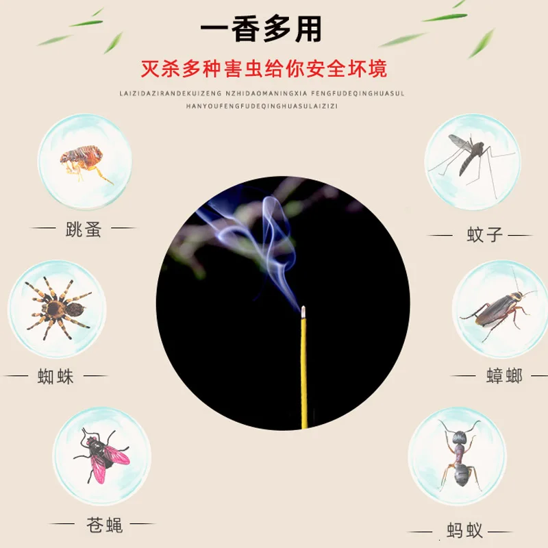 【SWEET DREAM】 Mosquito-fly king