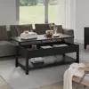 Lift Top Coffee Table with Hidden Compartment and Open Shelf, 45.28" L, Café Tables 1