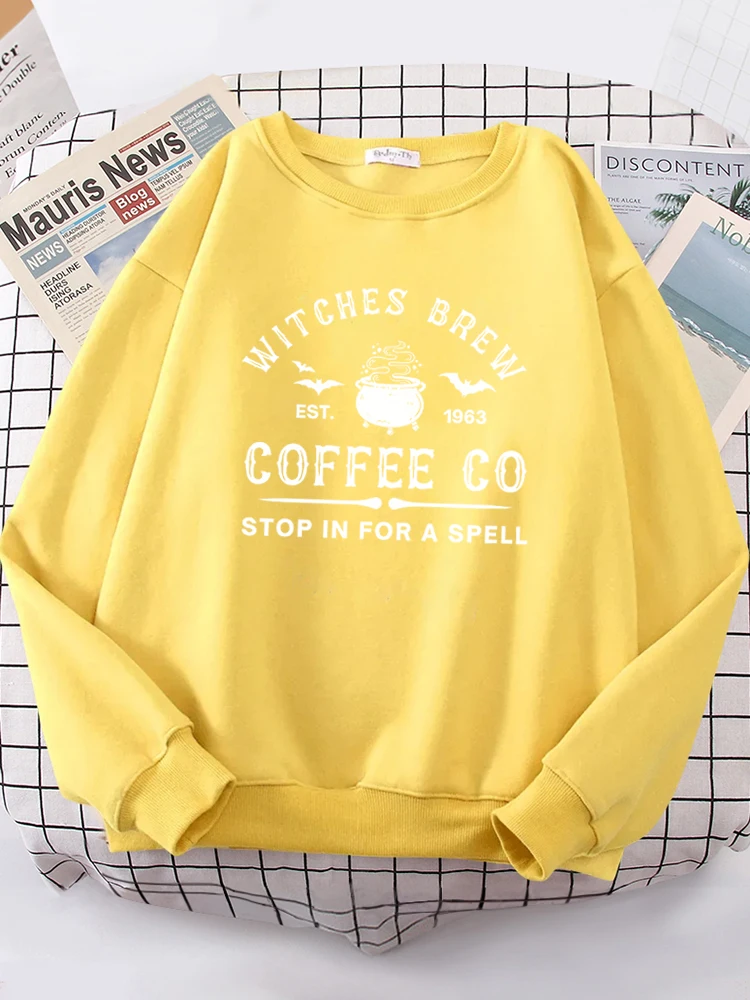 Simple autumn women's hoodie, casual fleece long sleeved warm full set women's pullover