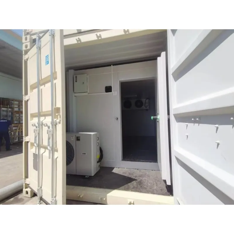 Solar Powered Mobile Cold Room 20ft Container Freezer Off Grid Walk in Storage for Meat Vegetable Fruit Customized Cold Storage 5