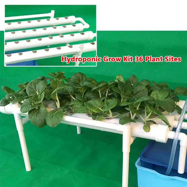 Korábban Tenyésztési Tartó Hidroponikus Termesztési Készlet 36 Növényi Helyek Zöldségállvány - Image 3