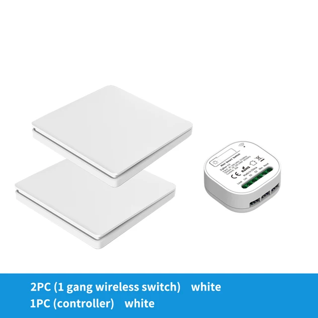 2x1gang 1Receiver