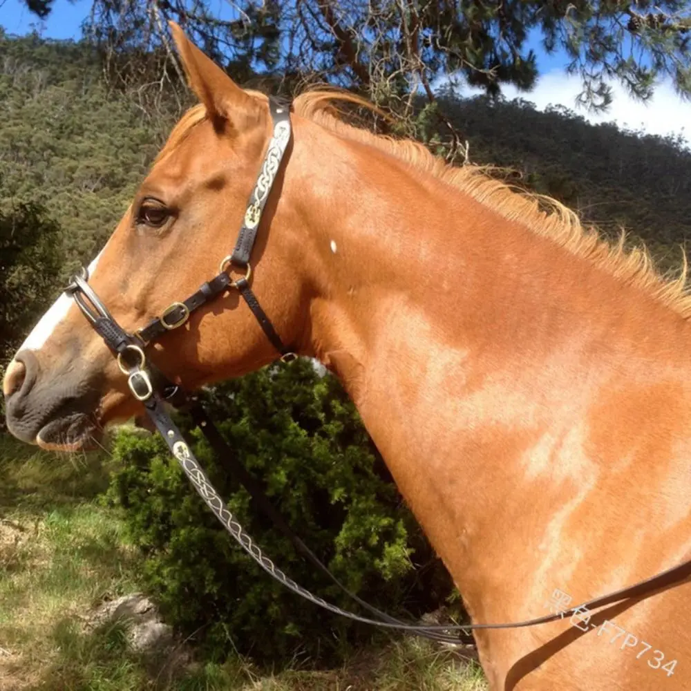 PU Leather Horses Bridle Halters horse riding equipment horse riding halter Metal Buckle Comfortable Horse Head Curtain Adjustable Protecting Horse Skin Rein Harness