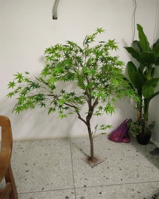 Bonsaï en érable vert japonais Él, décoration de tronc tactile naturel,  plante en pot, arbre en