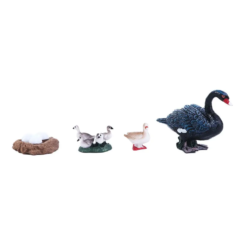 Gifts Kids Hen Educational Toys Cock Miniature White Goose Growth Cycle Simulation Life Cycle Figures Duck Figurine