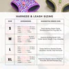 Valentine's Day and New Year's gift Cute Design Adjutable Luxury Designer Pet Harness &1 Pcs Color Matching Pet Dog Leashes 2