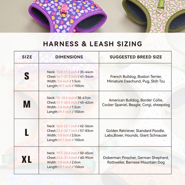 Valentine's Day and New Year's gift Cute Design Adjutable Luxury Designer Pet Harness &1 Pcs Color Matching Pet Dog Leashes 2