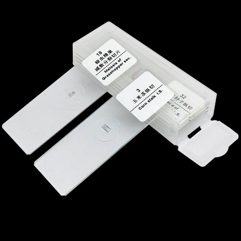 Microscope Glass Slides 5 Pieces Reusable Concave Blank Glass Slides or Prepared Slides For Biological Microscope Laboratorial Consumables